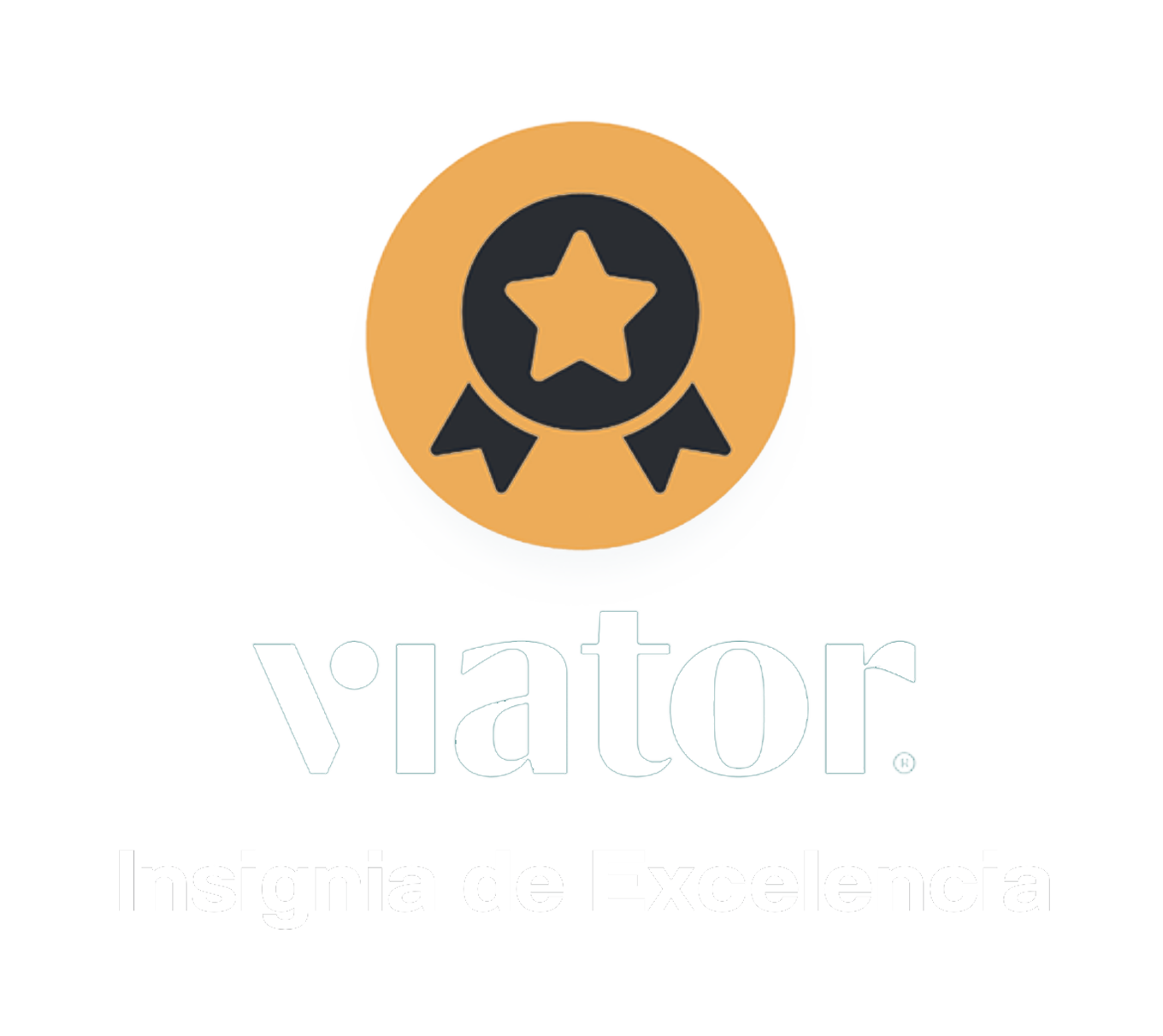 Insignia-de-Excelenciaviator